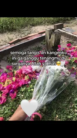 alfatihah yaa sayangg semoga tenang dan bahagia dialam sana🤲🏻🤍