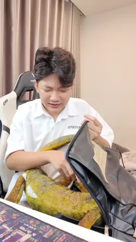 Tạm Biệt Tất Cả 😭 #caotruongthinh 