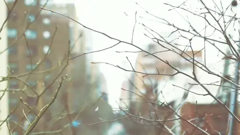 كل ما نفسي تروح ع حاجه