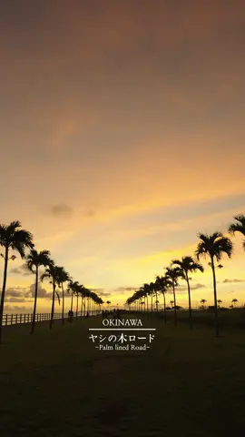📍ヤシの木ロード - 沖縄県豊見城市 #沖縄 #okinawa #夕日 