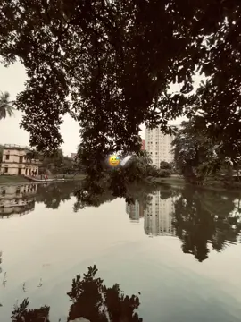 Mone pore 😅❤️‍🩹#foryou #viral #foryoupage #100kviews #unfrezzmyaccount 