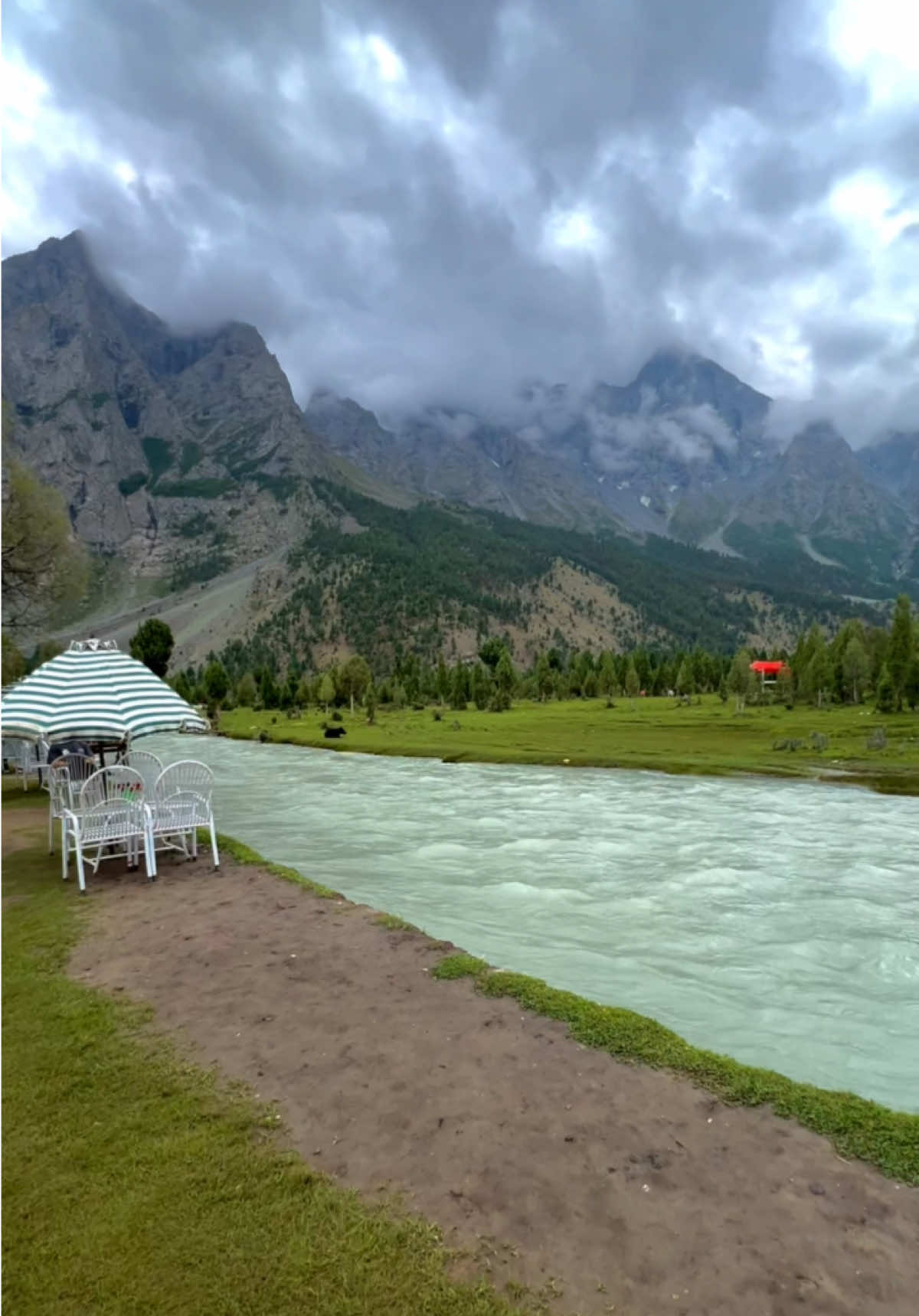 Basho valley Sultanabad meadows Skardu 🏔️❤️😍 𝐖𝐞 𝐎𝐫𝐠𝐚𝐧𝐢𝐬𝐞 𝐁𝐲 𝐑𝐨𝐚𝐝 & 𝐁𝐲 𝐀𝐢𝐫 𝐓𝐫𝐢𝐩𝐬 𝐭𝐨 𝐝𝐢𝐟𝐟𝐞𝐫𝐞𝐧𝐭 𝐝𝐞𝐬𝐭𝐢𝐧𝐚𝐭𝐢𝐨𝐧𝐬 𝐢𝐧 𝐏𝐚𝐤𝐢𝐬𝐭𝐚𝐧.🇵🇰  Public Group tours | Customised family  Honyemoon | Corporate | college & University tours. 𝐀:𝐋𝐢𝐬𝐭 𝐨𝐟 𝐞𝐯𝐞𝐫𝐲 𝐰𝐞𝐞𝐤 𝐩𝐮𝐛𝐥𝐢𝐜 𝐭𝐨𝐮𝐫𝐬 𝐭𝐨 𝐝𝐢𝐟𝐟𝐞𝐫𝐞𝐧𝐭 𝐝𝐞𝐬𝐭𝐢𝐧𝐚𝐭𝐢𝐨𝐧 𝐟𝐫𝐨𝐦 𝐋𝐚𝐡𝐨𝐫𝐞- 𝐅𝐚𝐢𝐬𝐚𝐥𝐚𝐛𝐚𝐝 & 𝐈𝐬𝐥𝐚𝐦𝐚𝐛𝐚𝐝 𝟖 𝐃𝐚𝐲𝐬 𝐆𝐫𝐚𝐧𝐝 𝐇𝐮𝐧𝐳𝐚 𝐩𝐥𝐮𝐬 𝐒𝐤𝐚𝐫𝐝𝐮 𝟔 𝐃𝐚𝐲𝐬 𝐒𝐤𝐚𝐫𝐝𝐮 & 𝐁𝐚𝐬𝐡𝐨 𝐯𝐚𝐥𝐥𝐞𝐲 𝟎𝟔 𝐃𝐚𝐲𝐬 𝐑𝐚𝐦𝐚 - 𝐃𝐞𝐨𝐬𝐚𝐢 - 𝐌𝐢𝐧𝐢𝐦𝐞𝐫𝐠 & 𝐃𝐨𝐦𝐞𝐥 𝐀𝐬𝐭𝐨𝐫𝐞  𝟓 𝐃𝐚𝐲𝐬 𝐇𝐮𝐧𝐳𝐚-𝐂𝐡𝐢𝐧𝐚 𝐛𝐨𝐚𝐫𝐝𝐞𝐫 & 𝐍𝐚𝐥𝐭𝐞𝐫 𝟓 𝐃𝐚𝐲𝐬 𝐅𝐚𝐢𝐫𝐲 𝐌𝐞𝐚𝐝𝐨𝐰𝐬 & 𝐍𝐚𝐧𝐠𝐚𝐩𝐚𝐫𝐛𝐚𝐭 𝐁:𝐁𝐲 𝐚𝐢𝐫 𝐭𝐫𝐢𝐩𝐬 By air trips Available from Islamabad - Lahore - Dubai & Karachi. 𝟓 𝐭𝐨 𝟕 𝐃𝐚𝐲𝐬 𝐁𝐲 𝐚𝐢𝐫 𝐭𝐫𝐢𝐩 𝐭𝐨 𝐒𝐤𝐚𝐫𝐝𝐮 𝐯𝐚𝐥𝐥𝐞𝐲 𝟓 𝐃𝐚𝐲𝐬 𝐁𝐲 𝐚𝐢𝐫 𝐭𝐫𝐢𝐩 𝐭𝐨 𝐇𝐮𝐧𝐳𝐚 𝐯𝐚𝐥𝐥𝐞𝐲 𝟖 𝐭𝐨 𝟏𝟎 𝐃𝐚𝐲𝐬 𝐁𝐲 𝐀𝐢𝐫 𝐇𝐮𝐧𝐳𝐚 𝐯𝐚𝐥𝐥𝐞𝐲 𝐩𝐥𝐮𝐬 𝐬𝐤𝐚𝐫𝐝𝐮 𝐯𝐚𝐥𝐥𝐞𝐲 𝟓 𝐃𝐚𝐲𝐬 𝐁𝐲 𝐚𝐢𝐫 𝐓𝐫𝐢𝐩 𝐭𝐨 𝐃𝐨𝐦𝐞𝐥 - 𝐌𝐢𝐧𝐢𝐦𝐞𝐫𝐠 & 𝐃𝐞𝐨𝐬𝐚𝐢 𝟎𝟔 𝐃𝐚𝐲𝐬 𝐛𝐲 𝐚𝐢𝐫 𝐭𝐫𝐢𝐩 𝐭𝐨 𝐅𝐚𝐢𝐫𝐲 𝐦𝐞𝐚𝐝𝐨𝐰𝐬 -𝐍𝐚𝐧𝐠𝐚𝐩𝐚𝐫𝐛𝐚𝐭 𝐛𝐚𝐬𝐞𝐜𝐚𝐦𝐩 𝐅𝐨𝐫 𝐅𝐮𝐫𝐭𝐡𝐞𝐫 𝐃𝐞𝐭𝐚𝐢𝐥𝐬 𝐃𝐦 𝐮𝐬 , 𝐖𝐡𝐚𝐭𝐬𝐀𝐩𝐩 𝐍𝐮𝐦𝐛𝐞𝐫 𝐌𝐞𝐧𝐭𝐢𝐨𝐧𝐞𝐝 𝐈𝐧 𝐏𝐫𝐨𝐟𝐢𝐥𝐞 📥 #foryou #foryoupage #unfrezzmyaccount #skardutourismclub #k2adventureclub #goomopakistan 