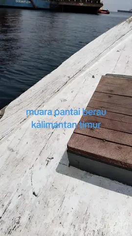 #areamarinptberaucoal#