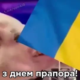 вітаю зі святом 🇺🇦 #прапор #україна #іпсо #свинки #іпсошечка🇫🇷 