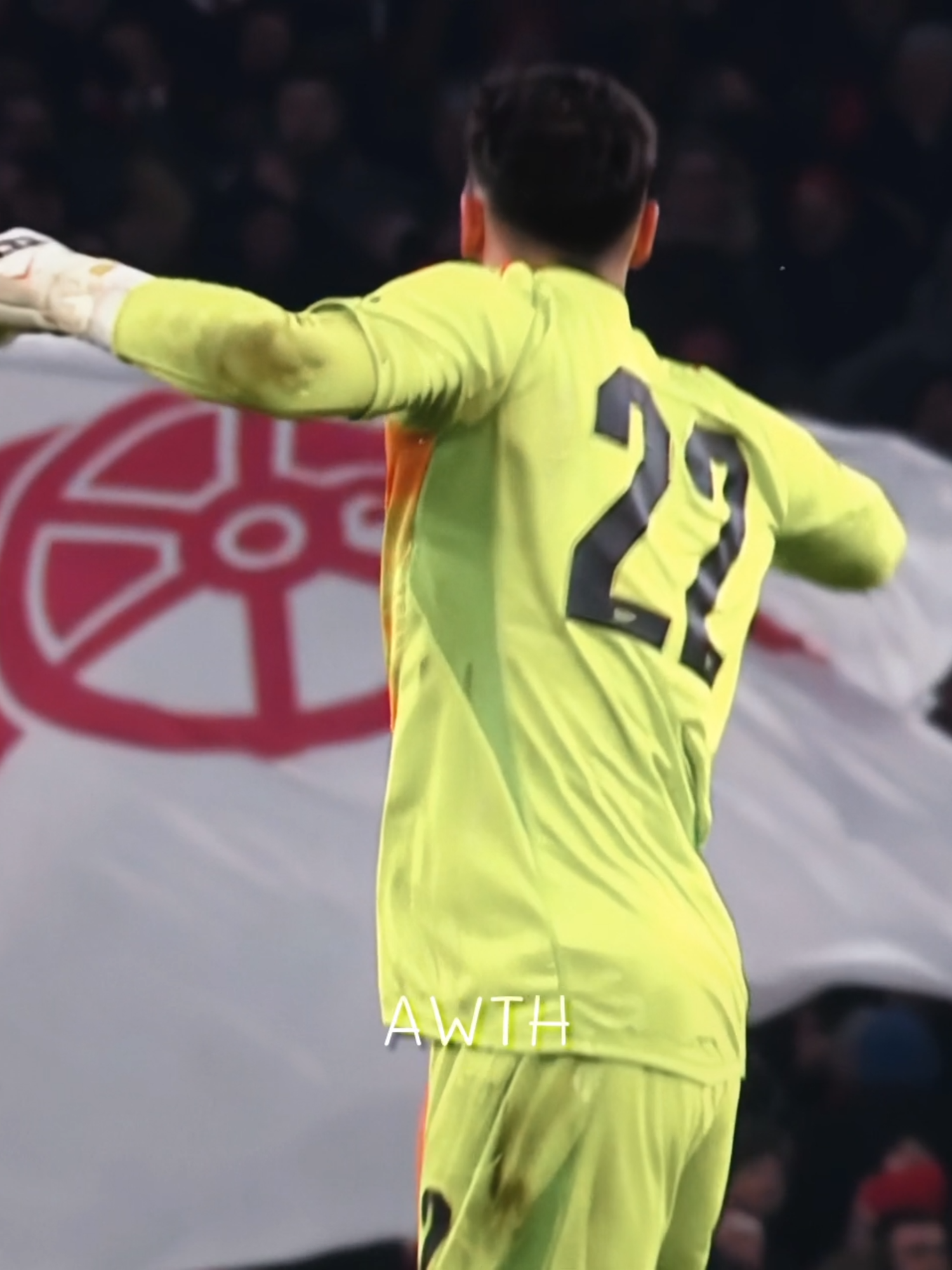 เจ้าอย่าหวัง😏#arsenal #ae #arsenaledit #บอลไทย #พรีเมียร์ลีกอังกฤษ #ฟุตบอล #พรีเมียร์ลีก #อาร์เซนอล #อาหวัง #raya #ราย่า