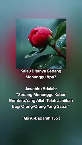#assalamualaikum🙏 #fypシ゚ #fypviralシ #katakata 