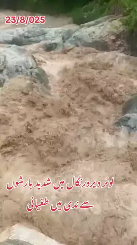 درنگال لوئر دیر میں شدید بارشوں سے ندی میں طغیانی#pakistan #foruyou #dirlowerkpk #dir #rain @PTI OFFICIAL @RESCENE_official 