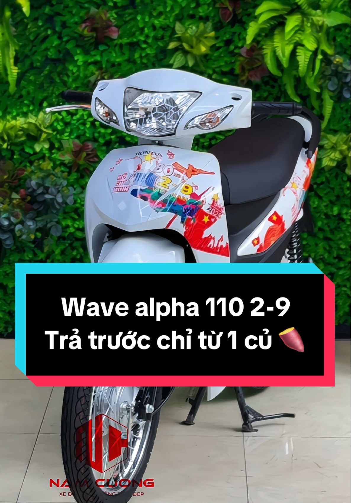Wave alpha 110cc phiên bản kỉ niệm 2-9 , góp chỉ từ 1 củ 🍠 #wave #xuhuong #xemaynamcuong #wavedokieng 