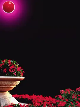 #تصميمي_انا #alialhoot #حياةالمساء #كل_العرب_احباب #مساء_الووررد 