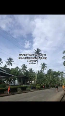 #fypシ゚ 