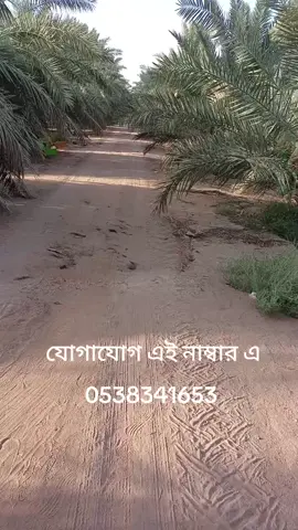 প্রিয় সৌদি প্রবাসী ভাইয়েরা যারা বসে আছেন কাজ নাই তারা যোগাযোগ করতে পারেন এই নাম্বারে স্কিনের উপরে দেওয়া আছে 🇸🇦🇸🇦