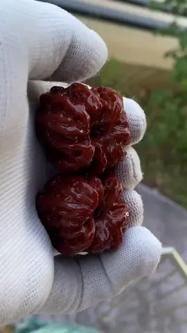Took me a whole year to turn these walnuts into jade#WalnutArt #walnuts #walnutcollector #oddlysatisfying #luxurynuts #healing #CulturalShock 