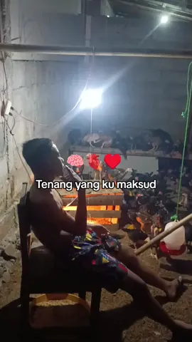 #masukberandafyp #wongmumet #nyenipoll #🥲🥲🥲🥲 