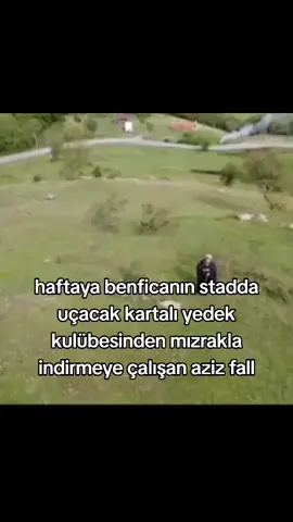 #fyp 