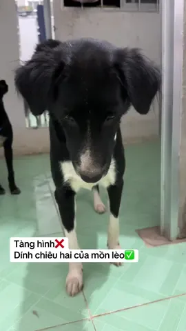 Chắc Bị Mồn Lèo Unti😑😑😑
