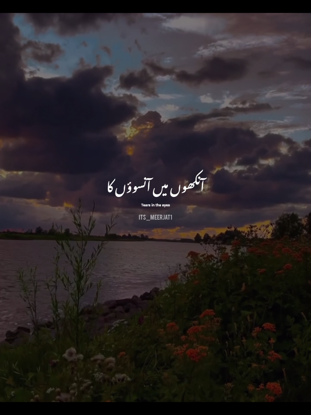 DIL TORNA HI THA TOH #status #lyrics #songlyrics #its_meerjat1 #unitedkingdom 