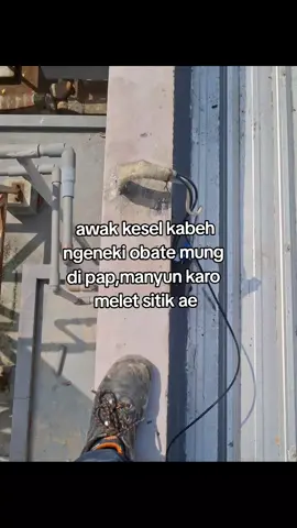 umpamane😅#helmkuning #kulilistrik #pln #fyp #kediri24jam 