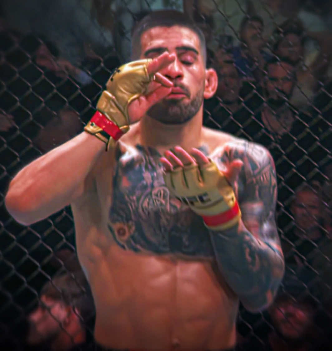 Arman your next||#fyp #UFC #mma #topuria #viral 