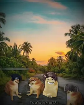 Tạm biệt thời đình cao 🐿️🫙💥 #memes #funny #viral #gianglamain #cheems 