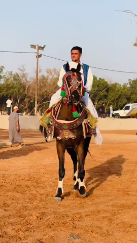 #ربي_يبارك_مشالله❤🤚🏻 
