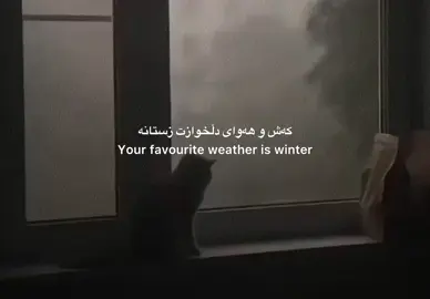 #viral #foryou #explorepage #fyp #rain 