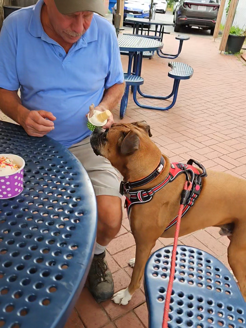 Pup cup time! #boandtytheboxerboys #boandty #botyjax #boxset 