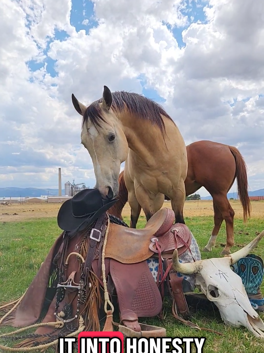#horsesoftiktok #womeninagriculture #slowdown #liveyourlife #fyp 