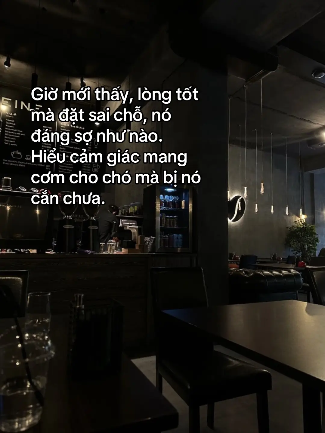 Giờ mới thấy, lòng tốt mà đặt sai chỗ, nó đáng sợ như nào. Hiểu cảm giác mang cơm cho chó mà bị nó cắn chưa.#viral #fyp #viralvideo #xuhuongtiktok #trending 