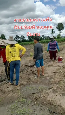 #งานสวนมะนาวเสร็จแล้ว🍃🌱🌿🤟🤟 #ยุพินลาชูเล่♥️🤟 #ขอบคุณทุกกําลังใจ❤️🤟 