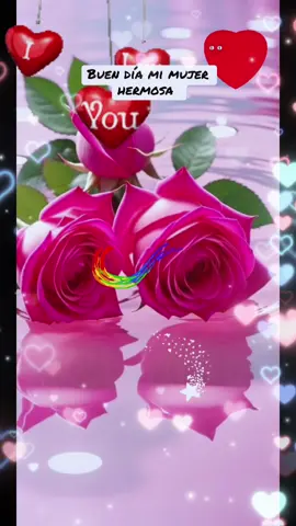#buen día mi mujer hermosa #sentimientos #cosasdeparejas 