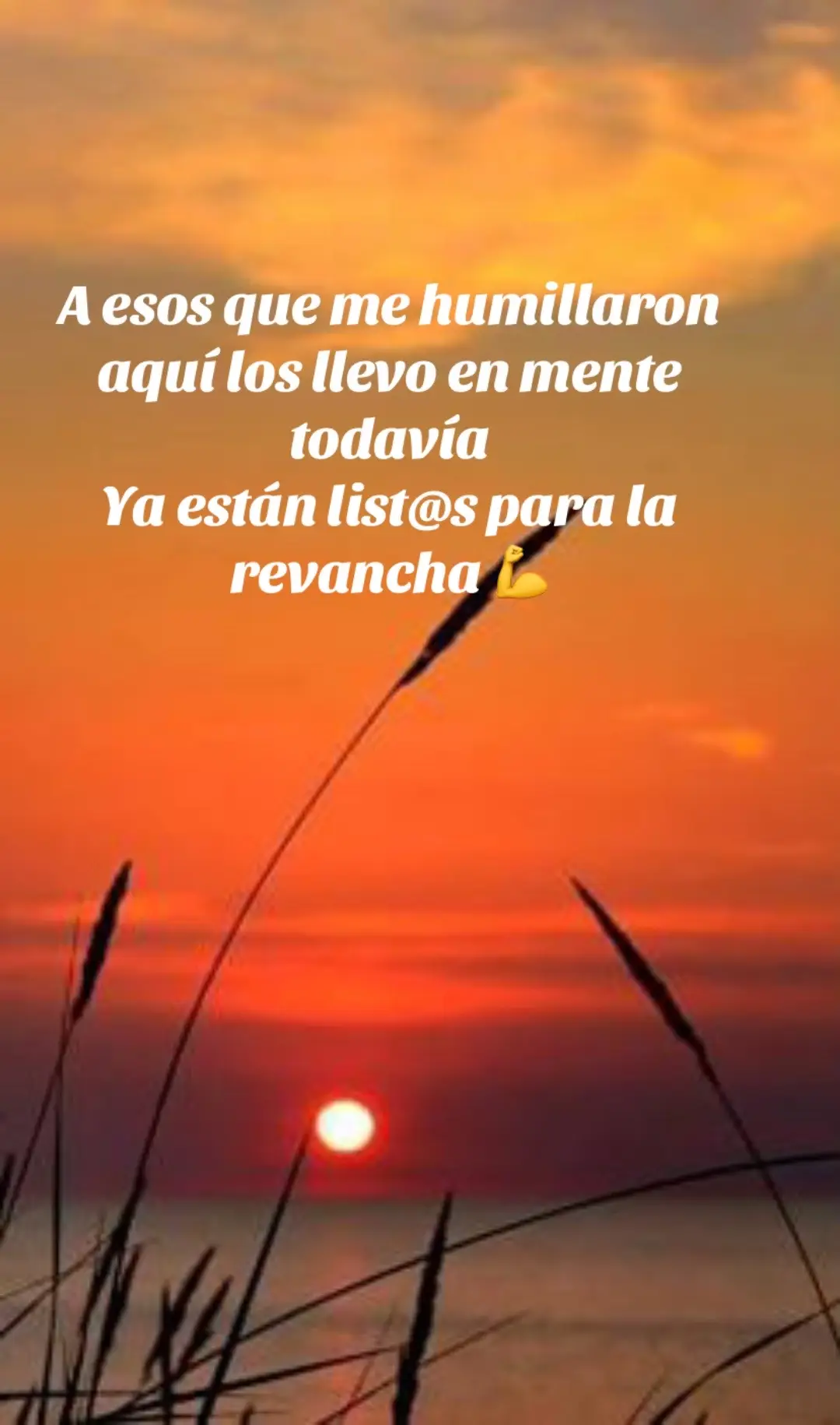 #mialmareclamalostemerarios #venganza😈 #frasesmotivadoras #