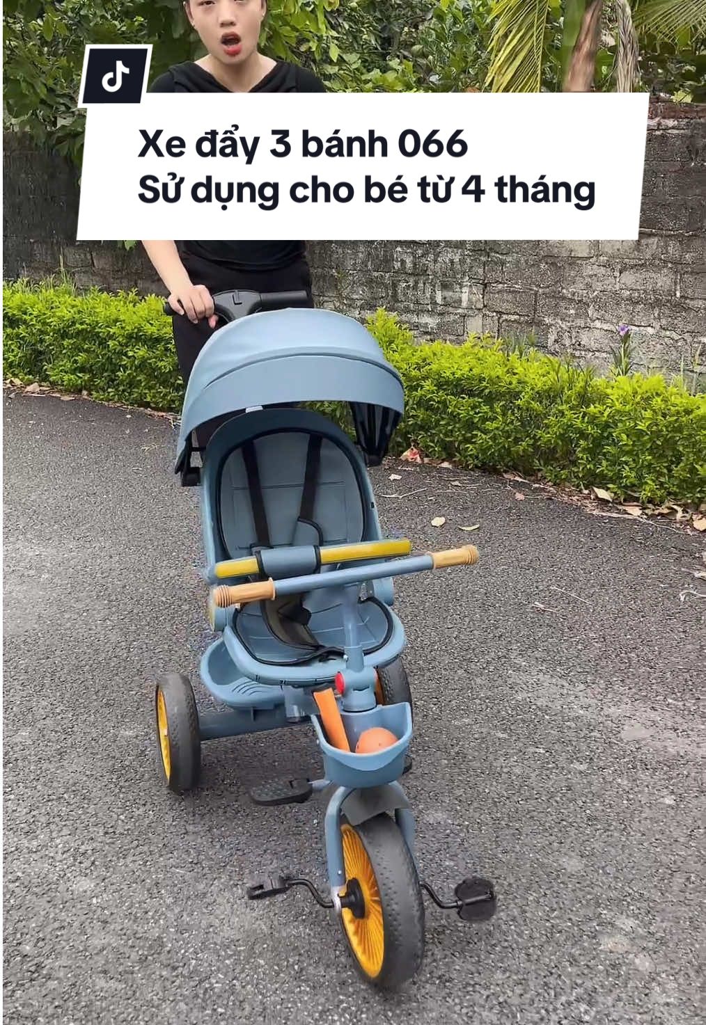 Xe đẩy 3 bánh 066 sử dụng cho bé từ 4 tháng tuổi đảo chiều được #xuhuong #khosihoado #xedaybabanh066 #xedaychobe #xeday3banh 