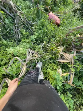 #xuhuonggg 