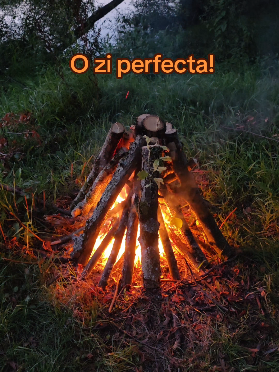 Am fost la pescuit săptămâna trecută dar am prins doar pitici! Am pus un video mai lung de 5 minute dar se pare ca alea lungi nu va plac asa ca l-am editat din nou si acesta are 1 minut si 27 secunde ! #pescuit #viatalatara #agricultura #fermier #ciobaniedragamie💯😍🍃🐑🐑🐑 