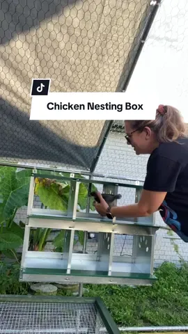 Built this 6-compartment galvanized nesting box in no time ⏱️🐓 Keeps eggs safe, easy to clean, and the hens LOVE it! #backyardchickens #chickens #farmlife #TikTokMadeMeBuyIt #tiktokshopcreatorpicks 
