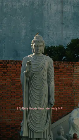 Tuổi thanh xuân cũng như mây trời... #ducphatthichca #tuongphatmocyen #tuongphat #mocyen 