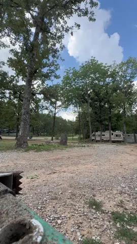 When your momma says she wants her yard to look like yours with pretty green grass…. Welll momma a lot of these trees gotta go for that to happen 😉🤘just being a good daughter 🤭#LIVEIncentiveProgram #GoLIVEGrowFast #PaidPartnership 