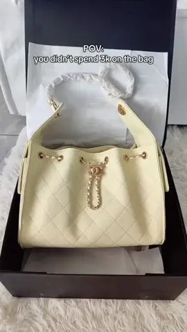 She’s so perfect bag✨❤️#luxury #fypシ゚viral #unboxing #newbag #bagcollection #chanel#chanelbag#hobo