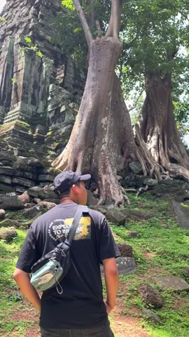 ក្មួួយយល់ហើយមីង 