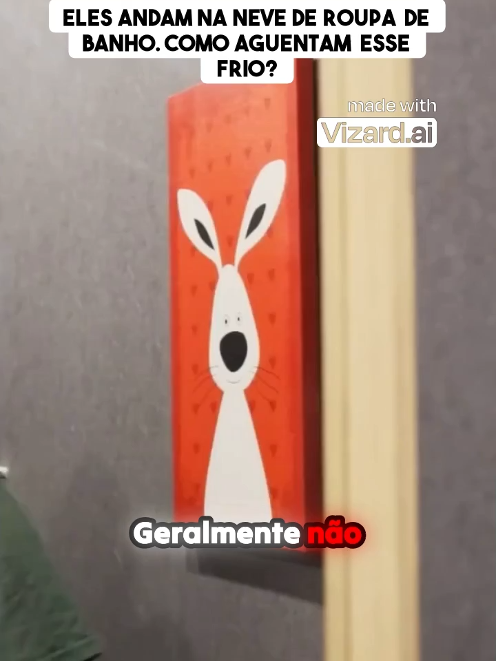 #Eles andam na neve de roupa de banho. Como aguentam esse frio_