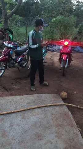 3 con vợ nhỏ 