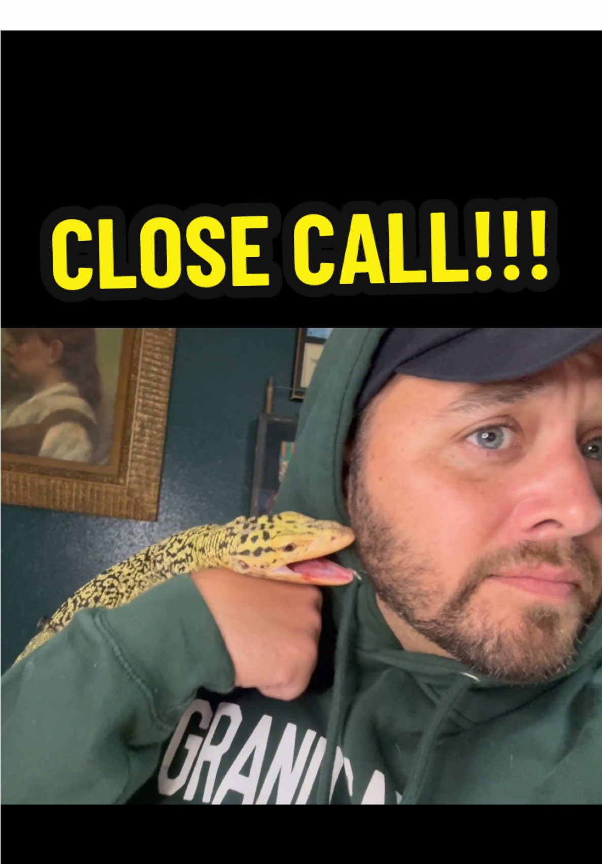 New Tommy’s Reptiles YouTube Video! 🦖 Tune In At 3PM EST! #quincemonitor #monitorlizard #lizard #reptiles #fyp