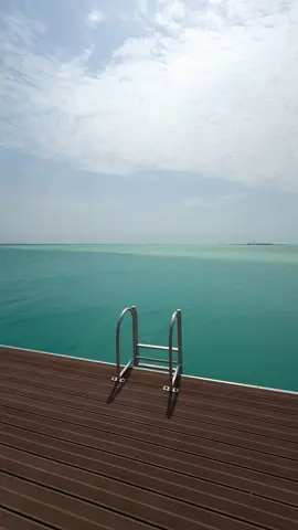 🎼.