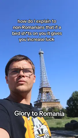 luck stat #glorytoromania #relateable #romania #bird #slobozia 