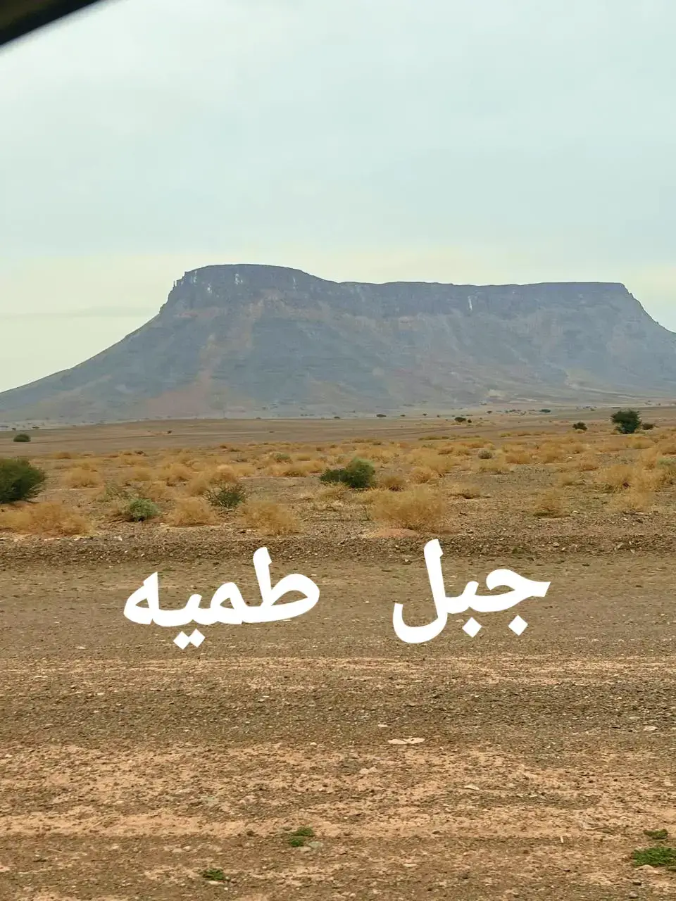 #كسلبور ابو هاني الرشيدي 