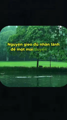 nguyện gieo đủ duyên lành  #sachhay #sach #Booichdanhay  #BookTok #book 