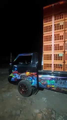 Bismillah #PulletBalap #ayampetelurindonesia 