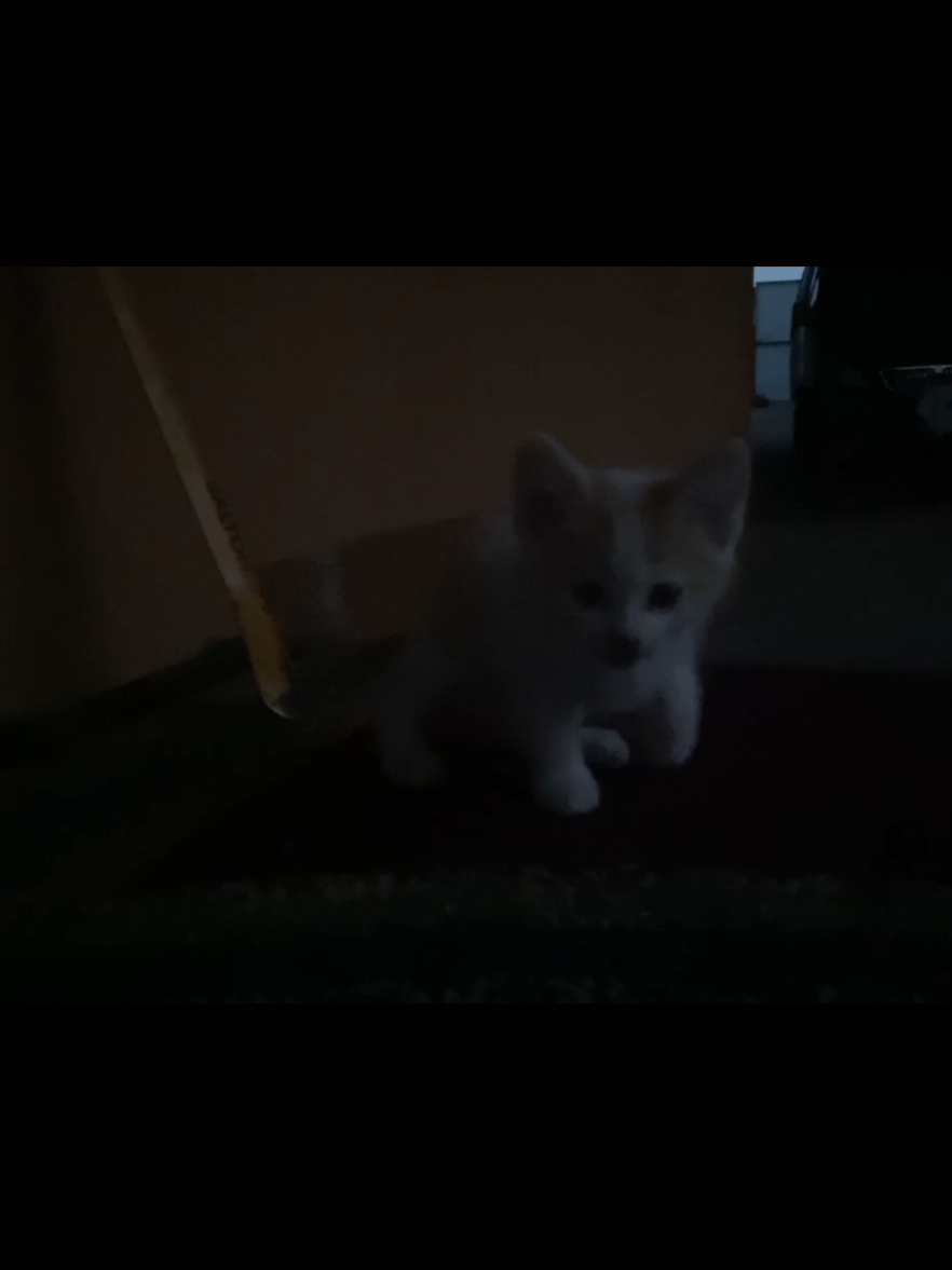 @Swag #ялюблюдиму #дималучший #людимку 