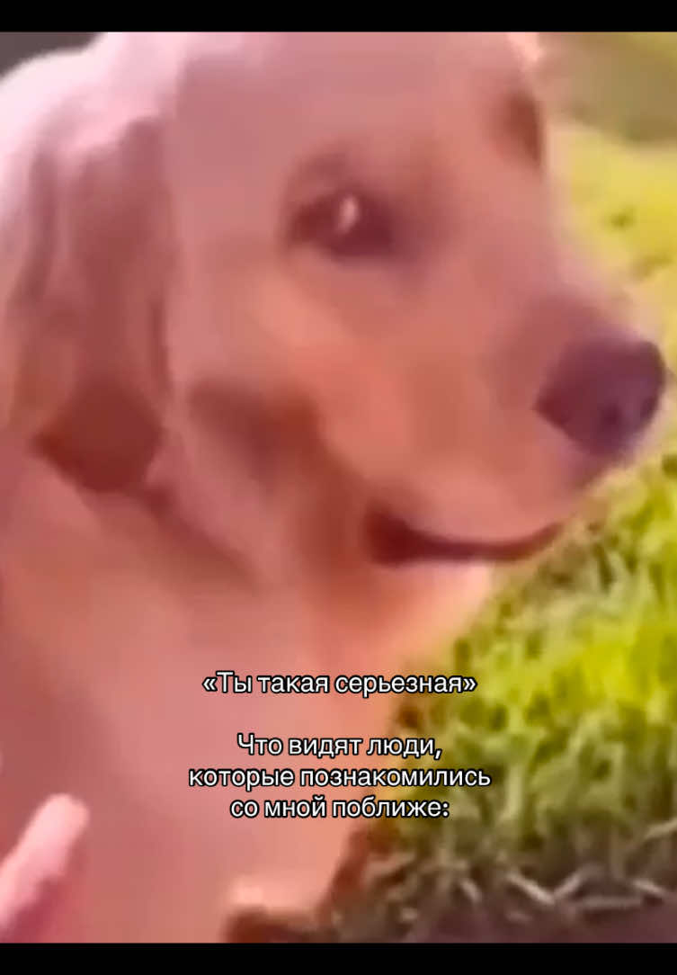 #fyp #meme #мем #foryou #foryoupage 