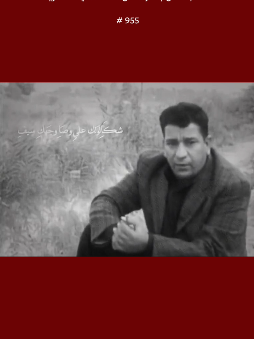 شگالوگ عليه وصار وجهك سيف ؟💔 #شعر #لايك #متابعه #سمير_صبيح 